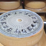Swiss raclette cheese from alp Maran