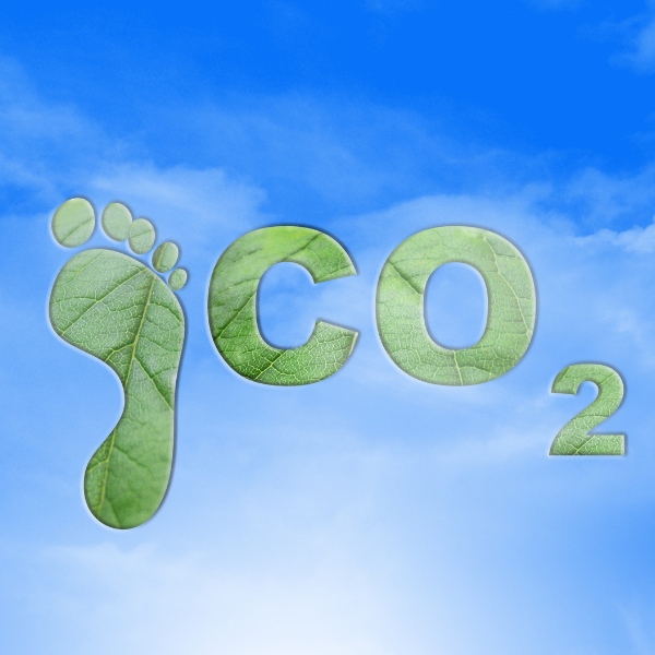 Carbon offset: Saving the world one package at a time – RacletteCorner