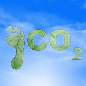 Carbon offset: Saving the world one package at a time
