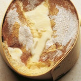 Petit Vaccarinus wormed up