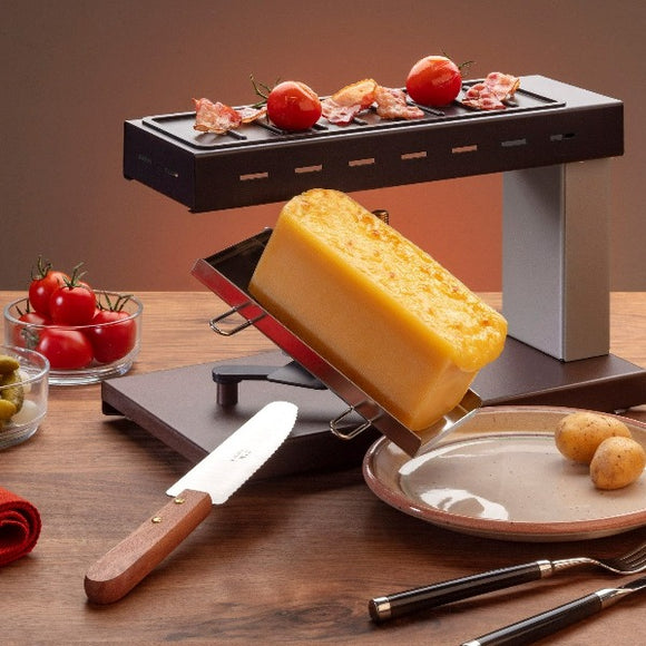 Raclette melter with grill top from TTM